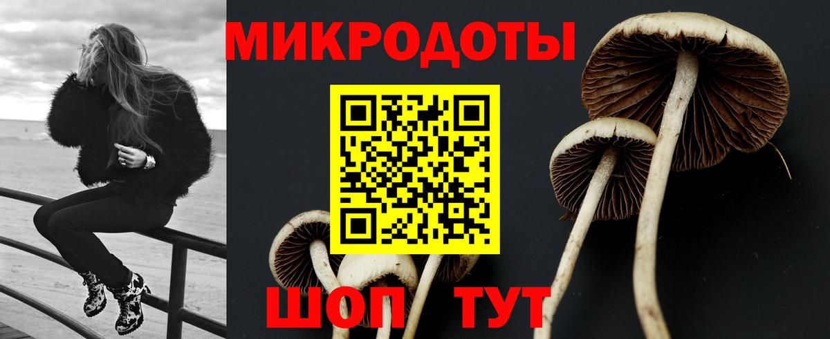 Псилоцибиновые грибы ЛСД Можга