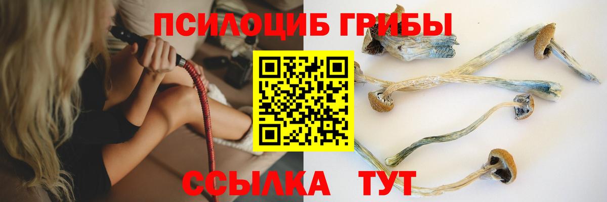 продажа наркотиков  Вход с VPN  Псилоцибиновые грибы Psilocybe  Можга  Галлюциногенные грибы Cubensis 